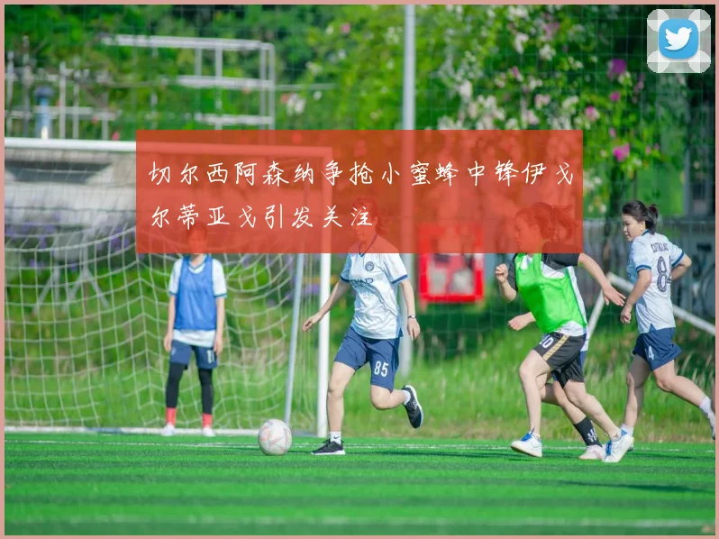 切尔西阿森纳争抢小蜜蜂中锋伊戈尔蒂亚戈引发关注